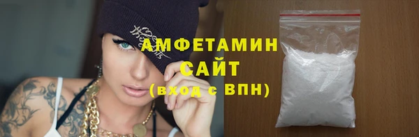 гидра Каменка