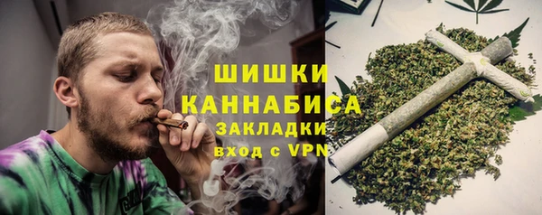 гидра Каменка