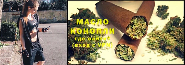 молекула духа Инсар
