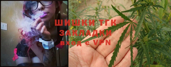 молекула духа Инсар